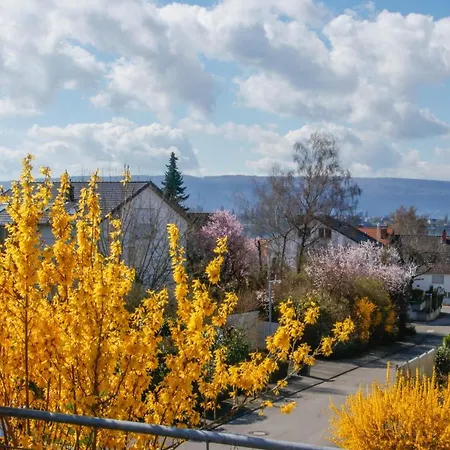 Ueber Der Alten Gaertnerei * Allensbach